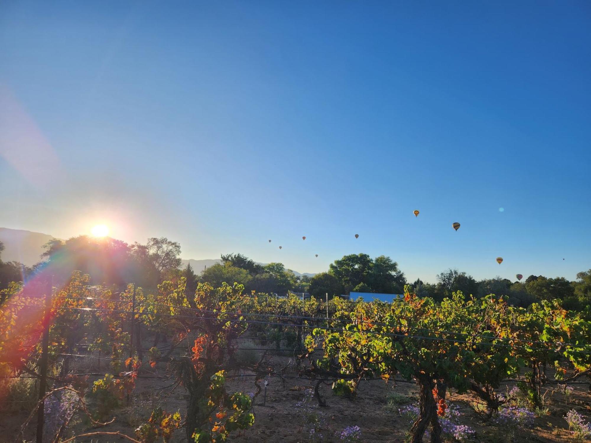 Red Mountain Manor Vineyard And Guesthouse Рио-Ранчо Экстерьер фото